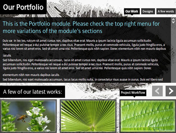 Oxylusflash - Fluxglide Pro Creative Multi Media Portfolio AS2 - Rip Oxylusflash - Fluxglide Pro Creative Multi Media Portfolio AS2 - Rip