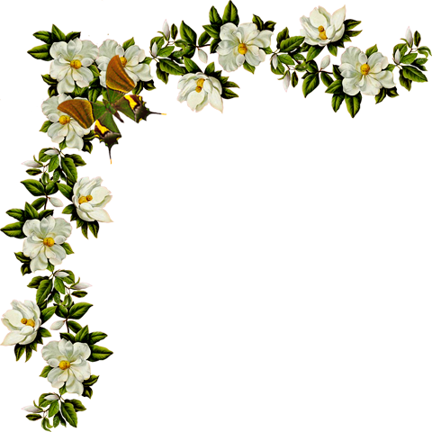 ����� � PNG. ���������� �� LiveInternet - ���������� ������ ������-���������
