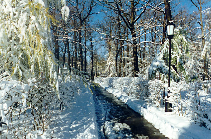 http://s1.hostingkartinok.com/uploads/images/2012/02/69e6be29d93deb7cee35e477eca3ed97.jpg