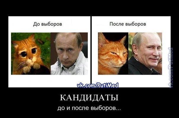 картина зимний лес