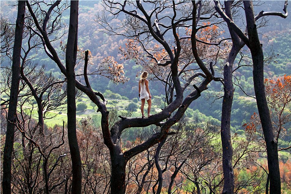 Фотографии, которых мы не видели