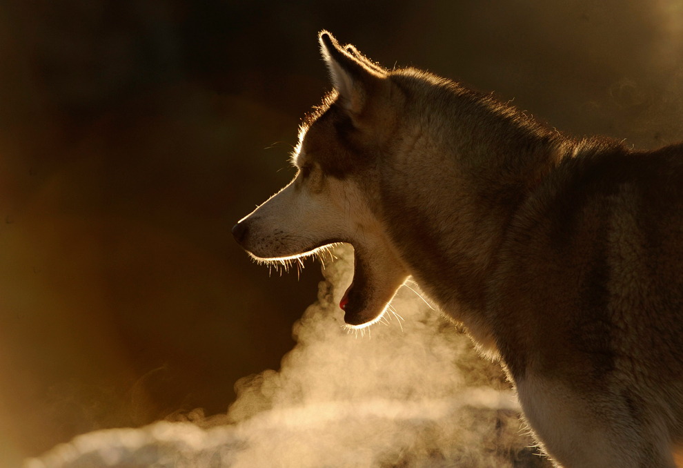 Фотографии, которых мы не видели