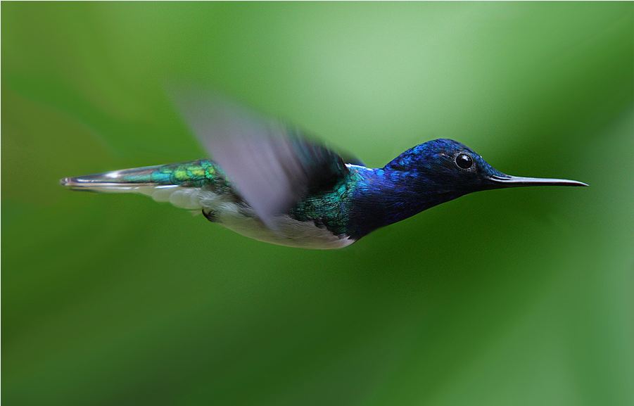 Фотографии, которых мы не видели