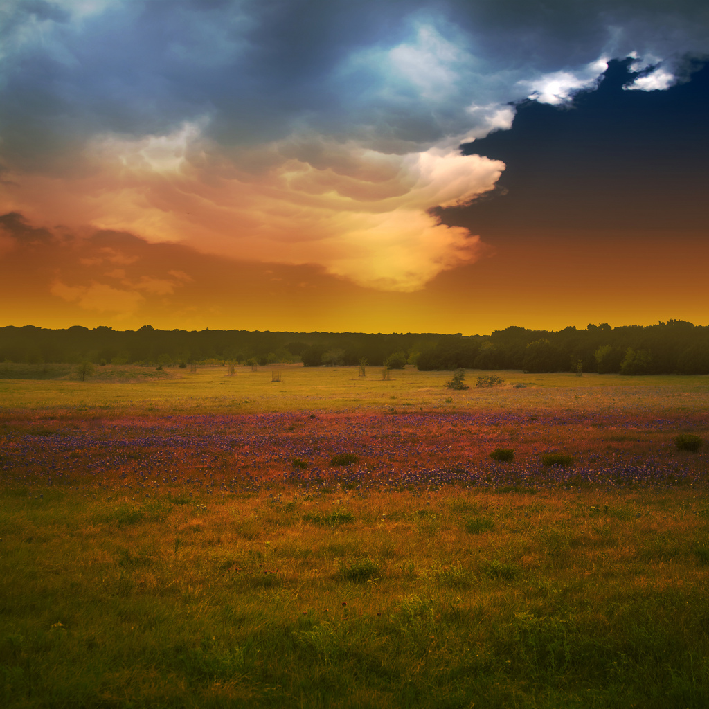 Фотографии, которых мы не видели