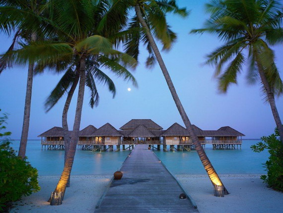 Пальмы на Мальдивах