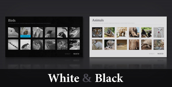 ActiveDen - XML Template V4 ( White & Black ) - Rip ActiveDen - XML Template V4 ( White & Black ) - Rip