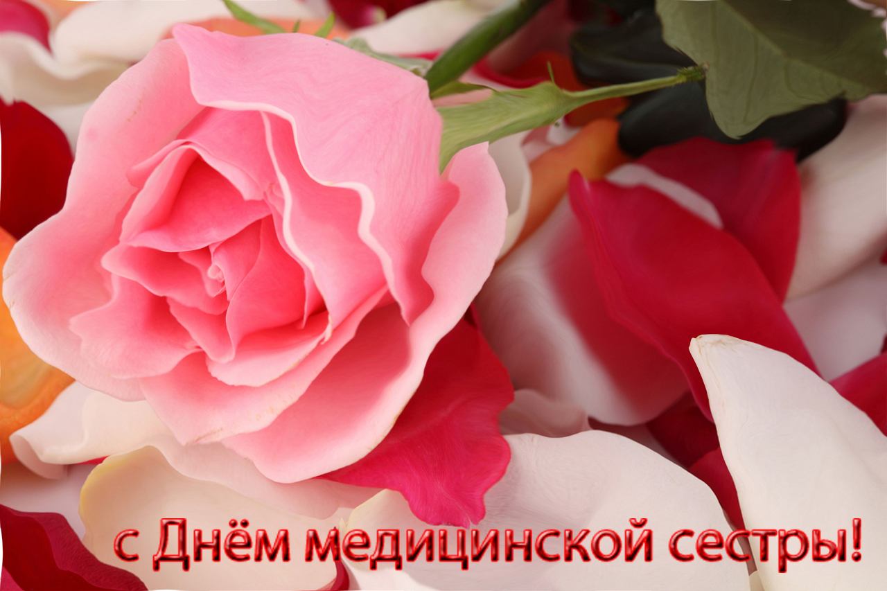 Поздравления маме с днем рождения маме на казахском языке с переводом Поздравления маме с днем рождения маме на казахском языке с переводом