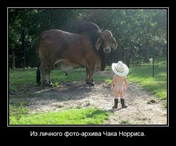 53d3fe62ea796de49d315c4769a66310.jpg