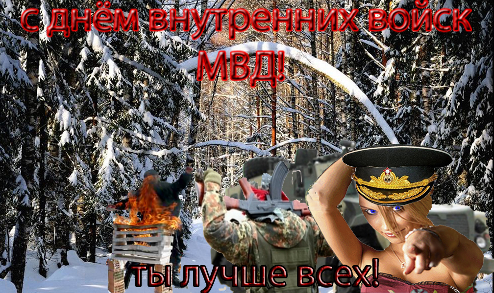 С днем вв мвд поздравления с С днем вв мвд поздравления с
