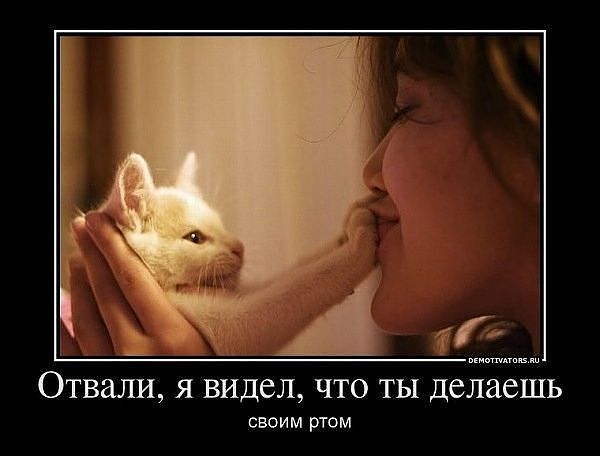 http://s1.hostingkartinok.com/uploads/images/2012/10/03a70273d542935479a46a5e0ad1874a.jpg
