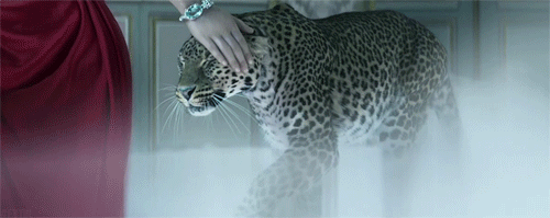 88f631eb2cdbfd4a66de2fd3480bc09f.gif
