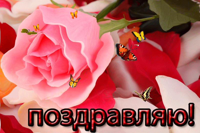 Отправить открытку на Отправить открытку на