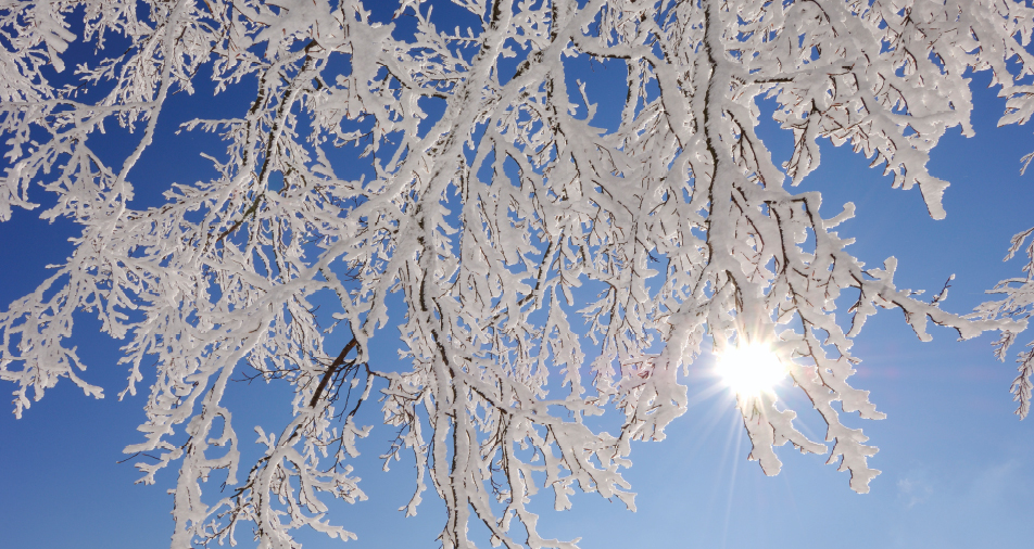 Кружась легко и неумело, Снежинка села на стекло. Шел ночью снег Кружась легко и неумело, Снежинка села на стекло. Шел ночью снег