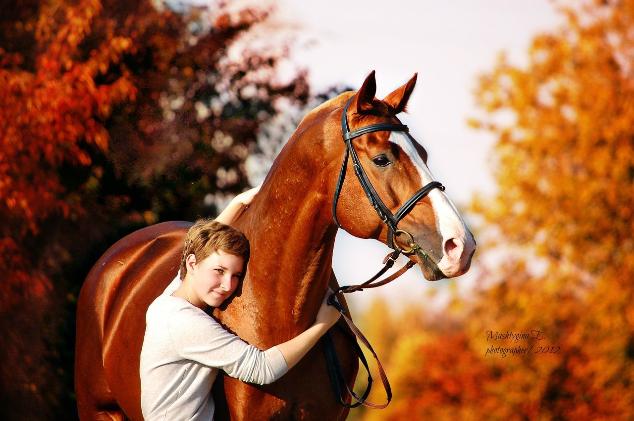 Фотосессия с лошадью осенью