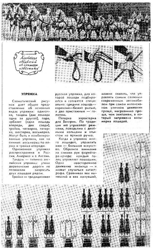 виды упряжи