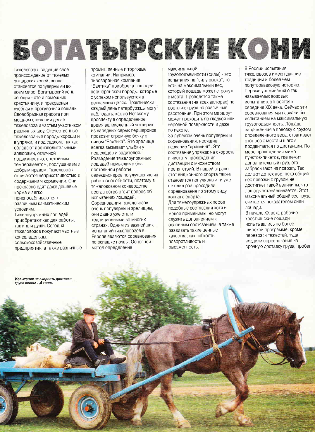 Богатырские кони. Статья из журнала КМ 1-2001