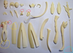 3bdc4f707a34680245ed0b654430994c.png