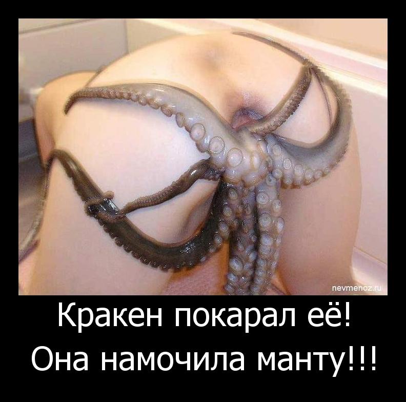 Octopus Pussy