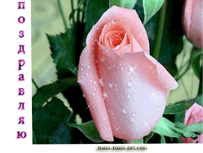 Картинки поздравление на азербайджанском