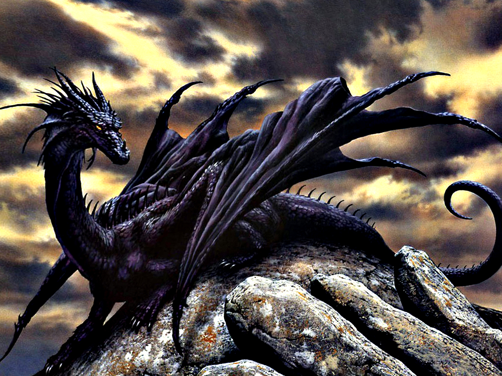 Драконов много не бывает. Красивый дракон. Черный дракон. Дракон настоящий. Дракон живой.