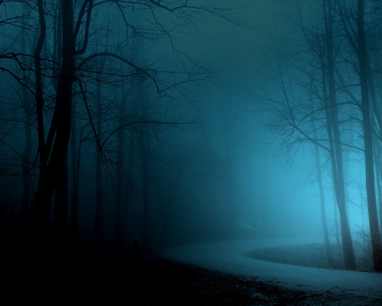 Густой туманный страшный лес
