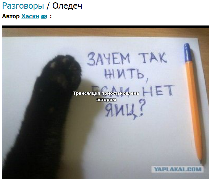 Зачем жить если тебя нет. Зачем жить если тебя нет. Зачем жить если все равно. Зачем жить если ты всё равно умрёшь?. Зачем жить без него.