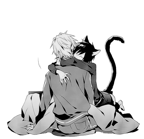 Яой кот. Неко кун кот яой. Неко кун и хозяин