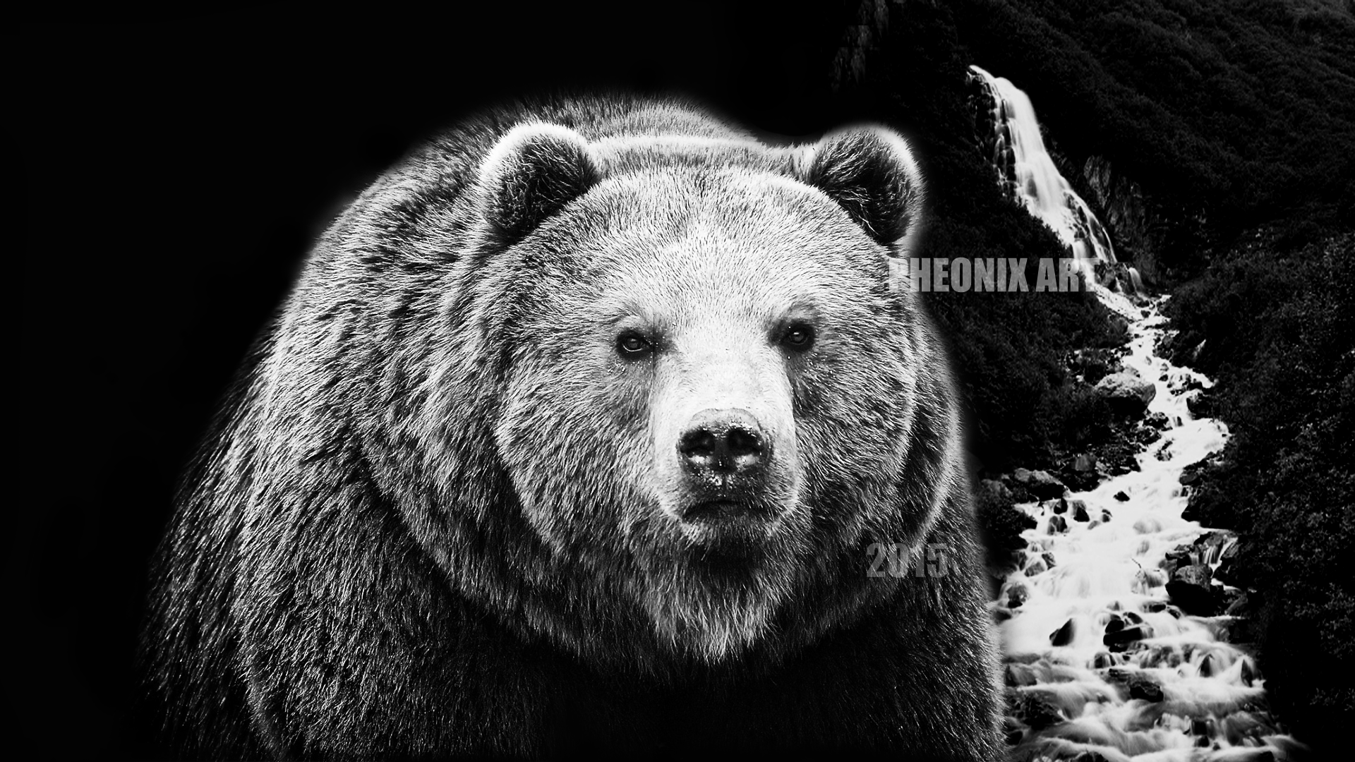 Черны медведь без смс