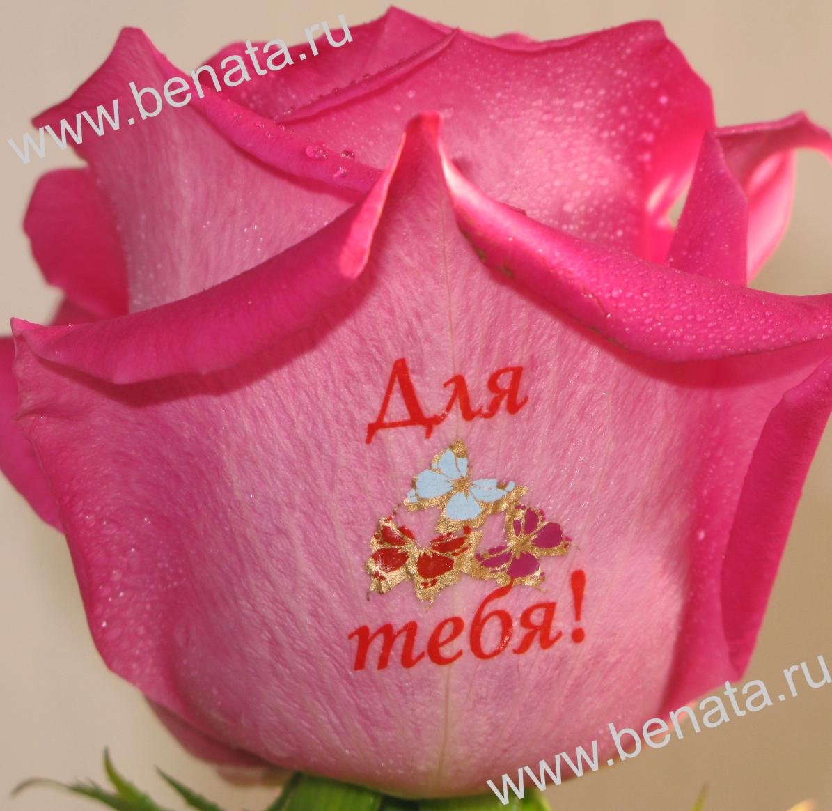 Цветы с надписями