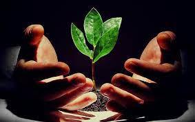 фото: Никаких рисков с Бизнес-Планом от специалиста IE Business School