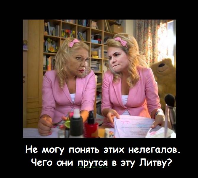 Прикордонні застави Литви повністю заповнені нелегальними мігрантами: ми досягли межі наших можливостей, - голова прикордонслужби Любаєвас - Цензор.НЕТ 8473