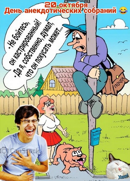 Собрание смешные картинки