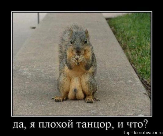 69c8b28ed81db21ce50b8170e5609a54.jpg