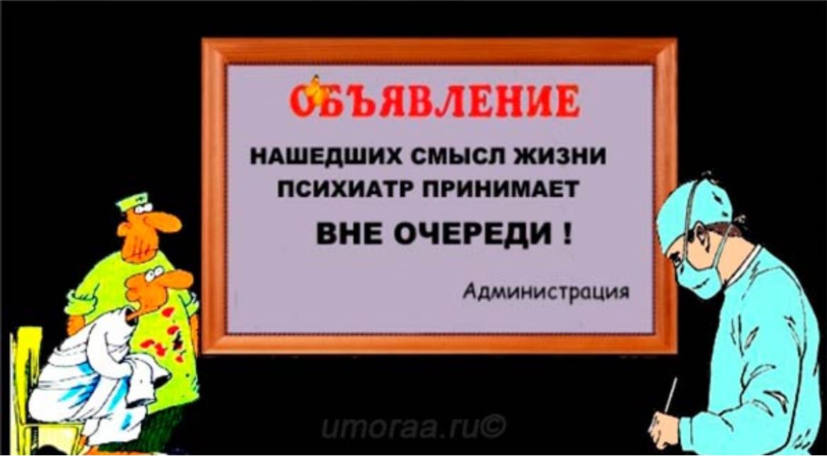 Жить нужно либо с юмором либо с психиатром картинки