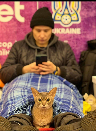 Зображення