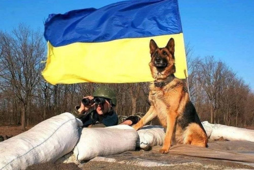 Зображення