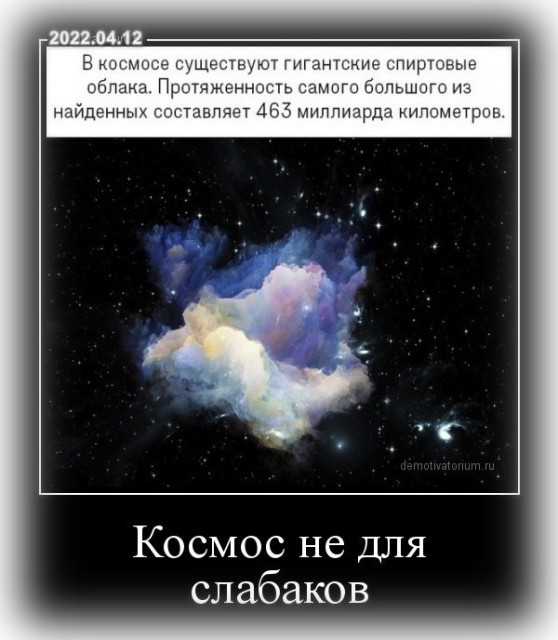 16a90dc0a77bdee6e9d75c37b4b37535.jpg