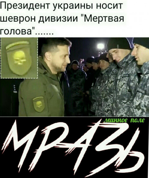 зеля пнг.png