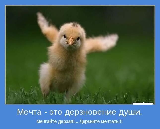 b052f0ce85c952f97e473e5377b4b271.jpg