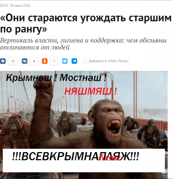 набляж.png