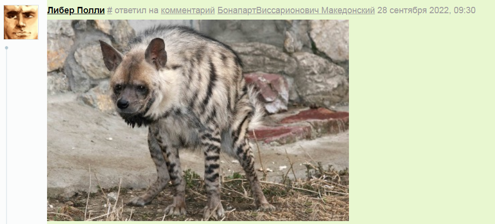липо.PNG