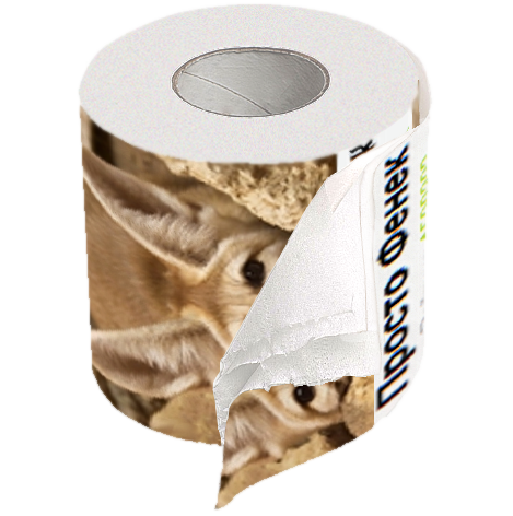 ПРОСТО ФЕНЁК.png