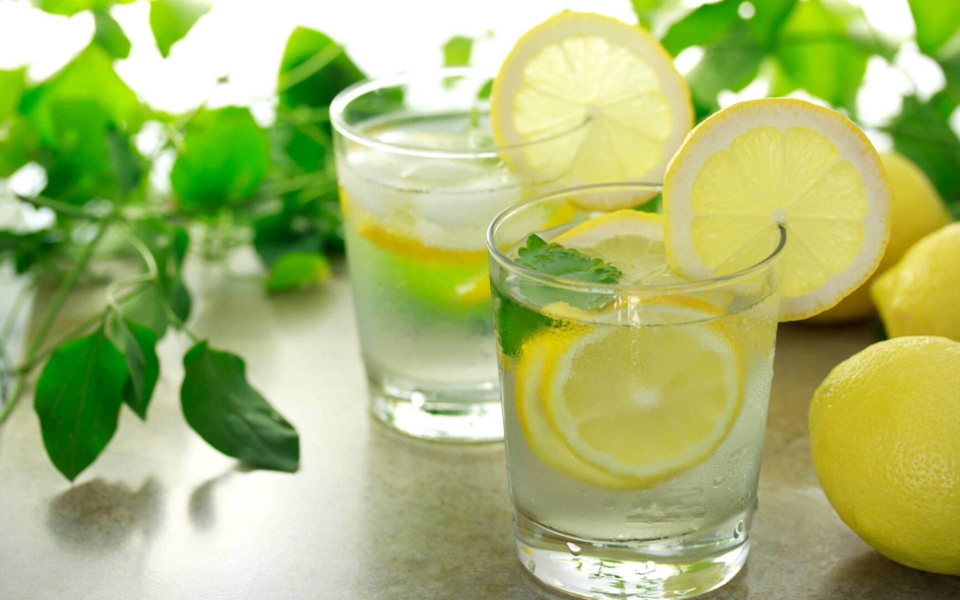 lemonade-lemons-a-glass-of-lemonade-mint-leaves.jpg