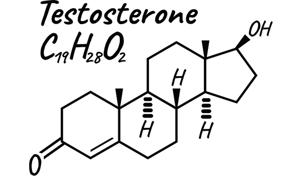 testosteron.png