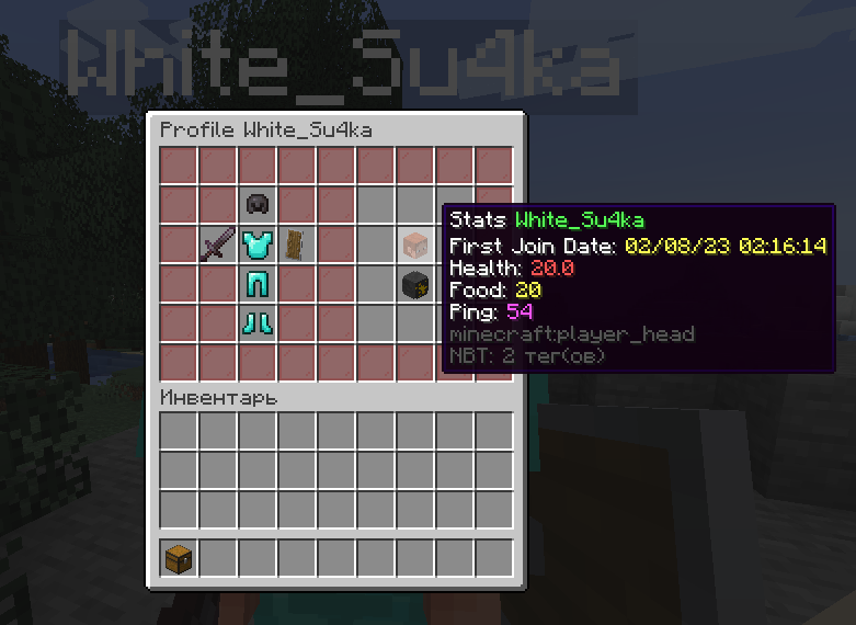 ValoorProfiles [1.16-1.21.4] Custom Profiles! Databases! Custom Items ...