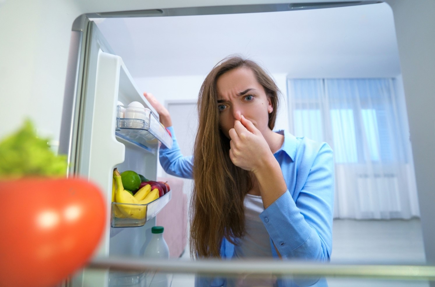 Неприємний запах від холодильника