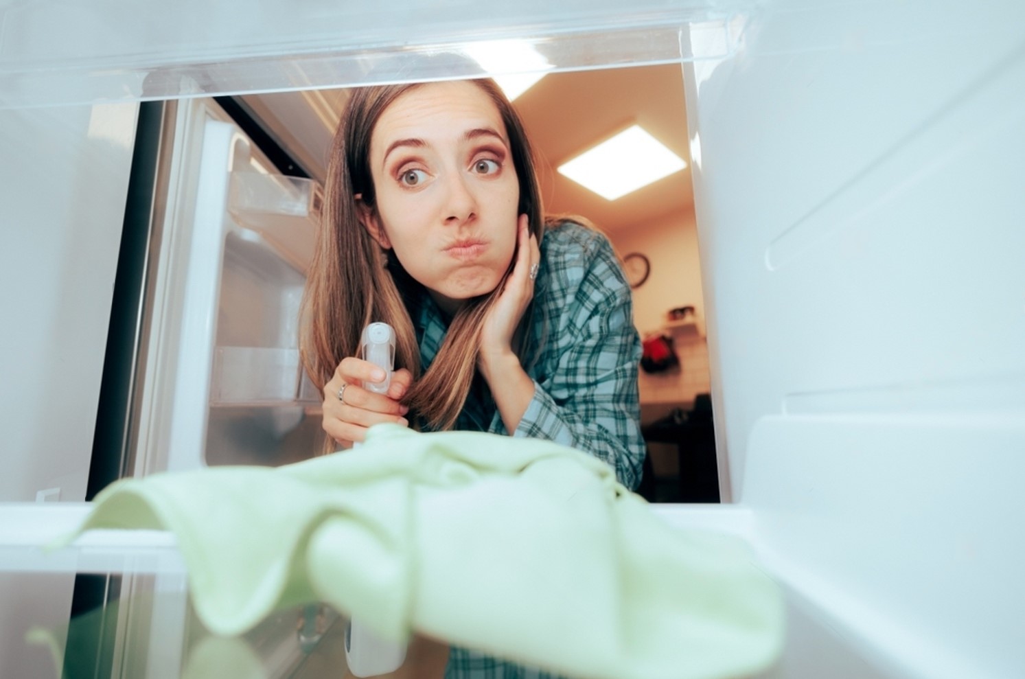 Неприятный запах от холодильника