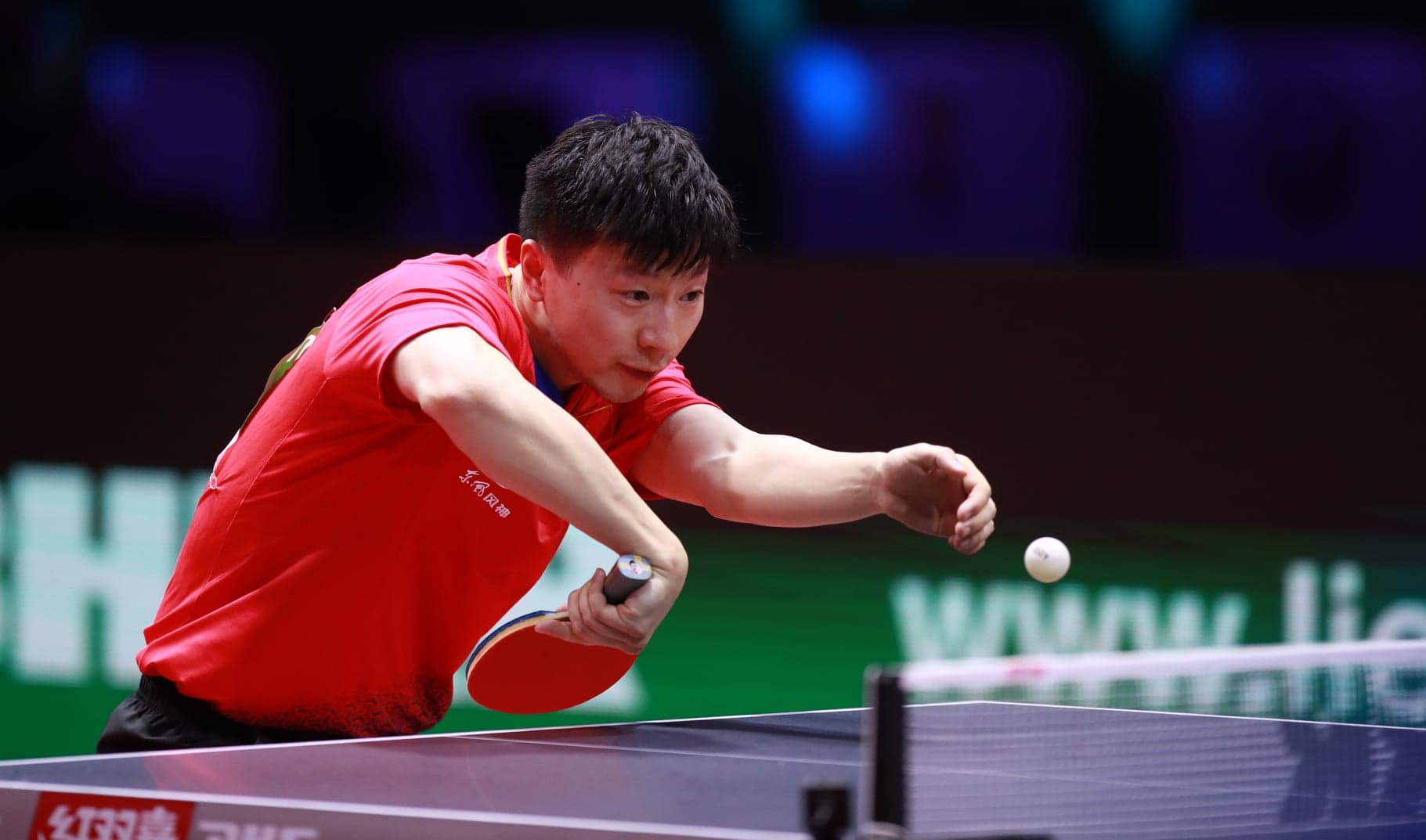 Ma long настольный теннис. Ван Чучин настольному теннису. Зоран Калинич настольный теннис.