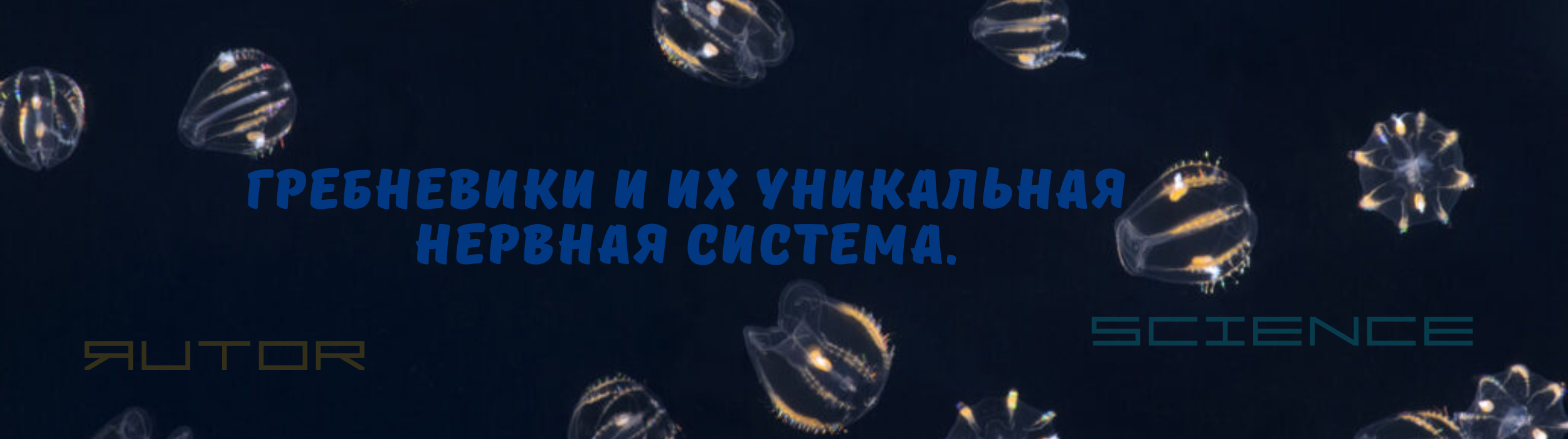 d029f21d63e36cb01c6eaf76a57a9d1a.png