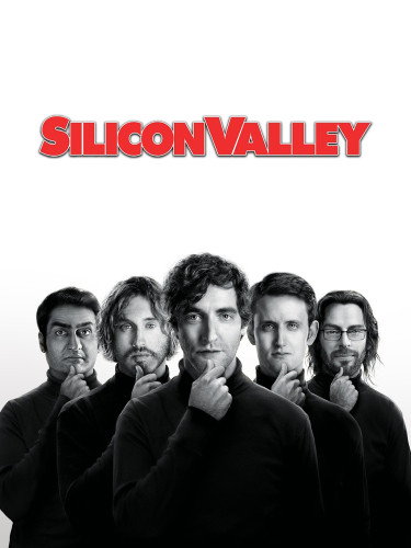 Silicon Valley / სილიკონის ხეობა